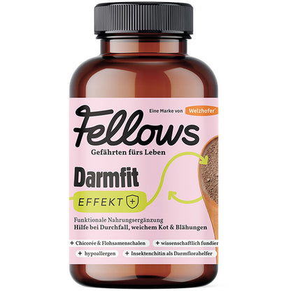 Супер добавка за храносмилане за кучета с протеин от насекоми Fellows Darmfit 200gr