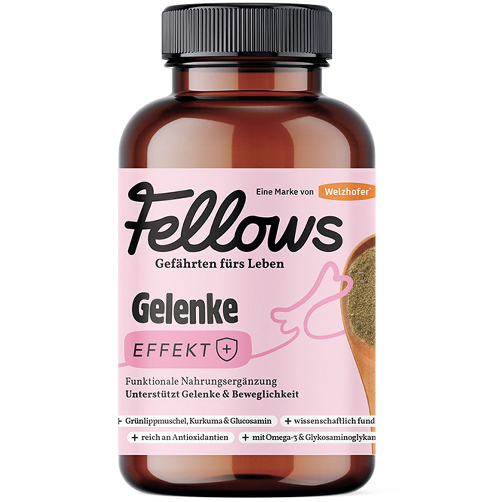 Супер добавка за стави за кучета със зеленоуста мида Fellows Joints 200gr