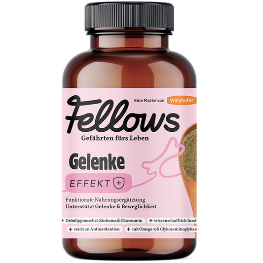 Супер добавка за стави за кучета със зеленоуста мида Fellows Joints 200gr