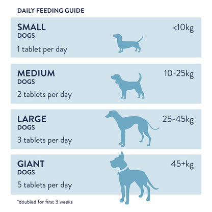 Dorwest Хранителни добавки - Таблетки с чесън и сминдух за кучета