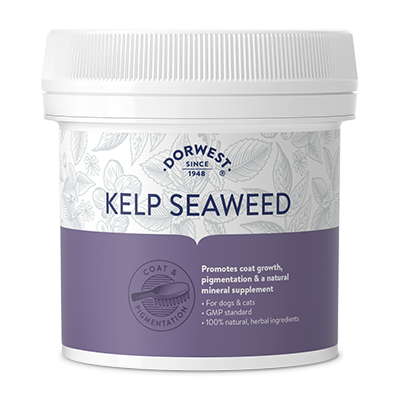 Хранителни добавки Dorwest Kelp Seaweed Powder за кучета и котки