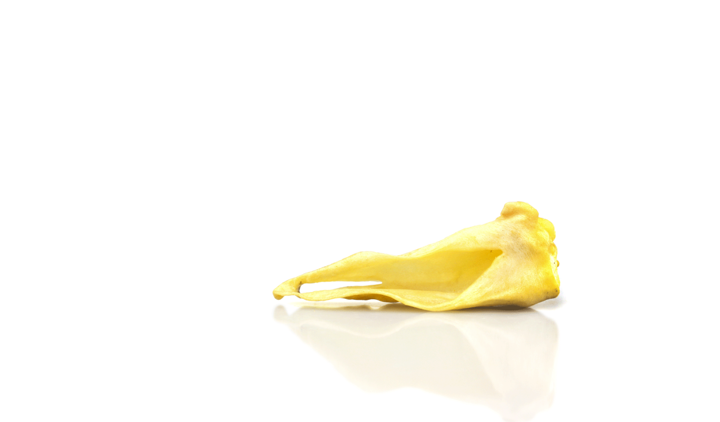 Агнешки уши (бр.) - натурално лакомство за кучета