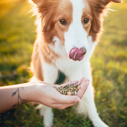 Билкова смес за обезпаразитяване Ecopets Parasite Plus Herbal mixture for deworming 100gr