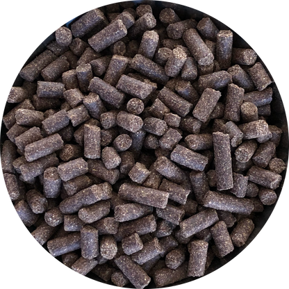 Студено пресована гранула с телешко за кучета от средни и големи породи Inbalance Adult 0.5kg/10kg - Подходяща и за най-претенциозните кучета