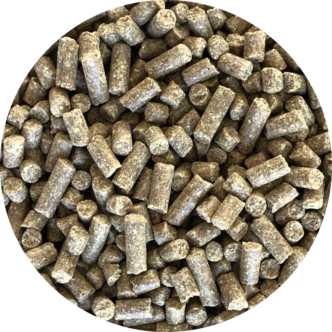 Студено пресована гранула със сьомга Inbalance Salmon 0.5kg/10kg - Подходяща и за най-претенциозните кучета