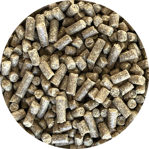 Студено пресована гранула със сьомга Inbalance Salmon 0.5kg/10kg - Подходяща и за най-претенциозните кучета