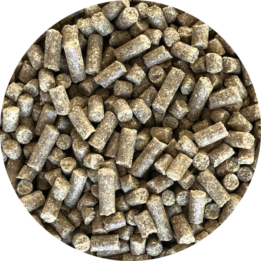 Студено пресована гранула със сьомга Inbalance Salmon 0.5kg/10kg - Подходяща и за най-претенциозните кучета